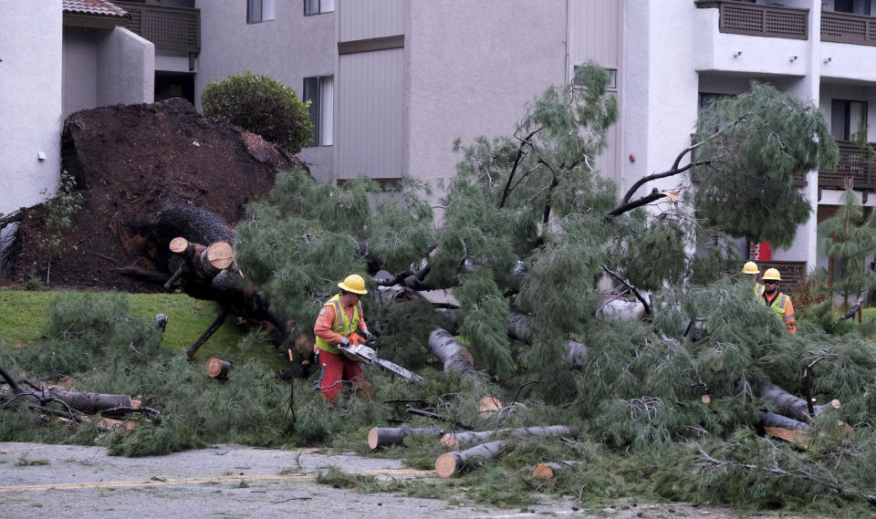 Workers remove a tree that fell across Burbank Blvd. at Canoga Ave. in Woodland Hills, Calif., following a night of steady rain, on Thursday, December 26, 2019. (Photo by Dean Musgrove, Los Angeles Daily News)/The Orange County Register via AP)