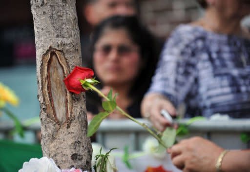 A woman touches a rose to a knot in a tree that people say looks like Our Lady of Guadalupe oN July 24, 2012 on Bergenline Avenue in West New York, New Jersey