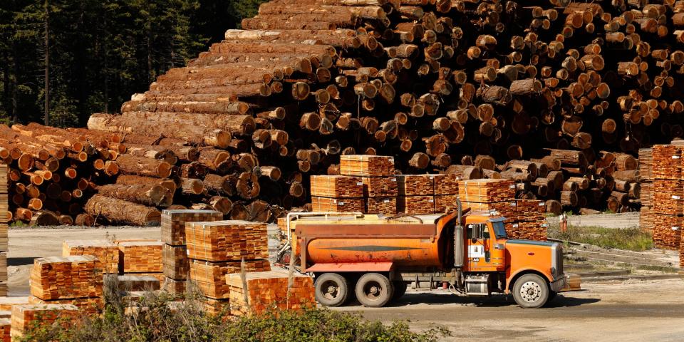 Lumber prices sawmill US logs wood