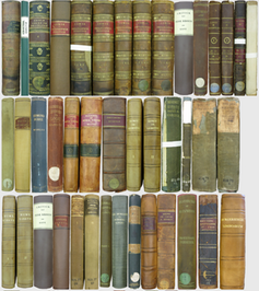 <span class="caption">Spines of books in JS Mill’s personal library, all transcribed in Mill Marginalia Online.</span> <span class="attribution"><span class="source">Somerville College Oxford</span>, <span class="license">Author provided</span></span>