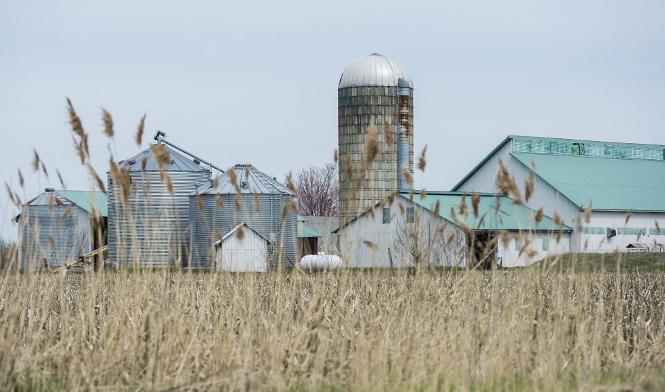 A dairy farm south of Montreal, Quebec. Photo from CP Images