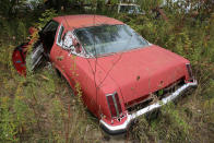 <p>Look at the state of that C-pillar. It was probably <strong>rotting away under the vinyl for years, without detection</strong>. It’s a 1975 Oldsmobile Cutlass Supreme, which like all the other fourth generation cars, was a strong seller. In fact, it was the US’s second-best selling car that year, behind the Chevrolet Impala. However, by the following year, it would claim the top position, maintaining its reign well into the 1980s.</p>