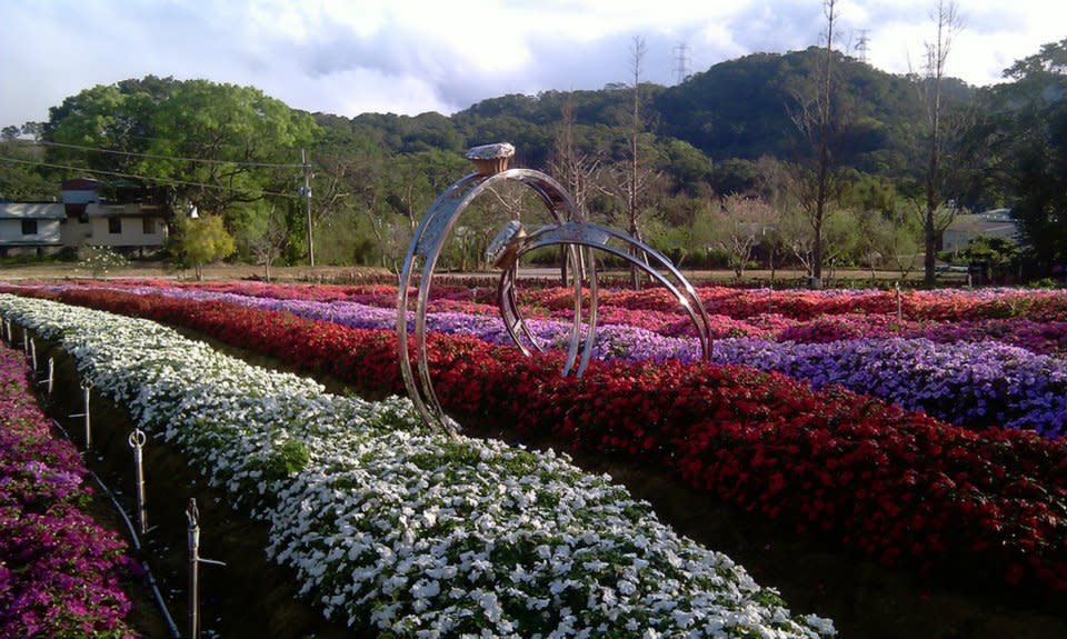 處處可見浪漫造景供遊客拍照。(圖片來源／富田花園農場)