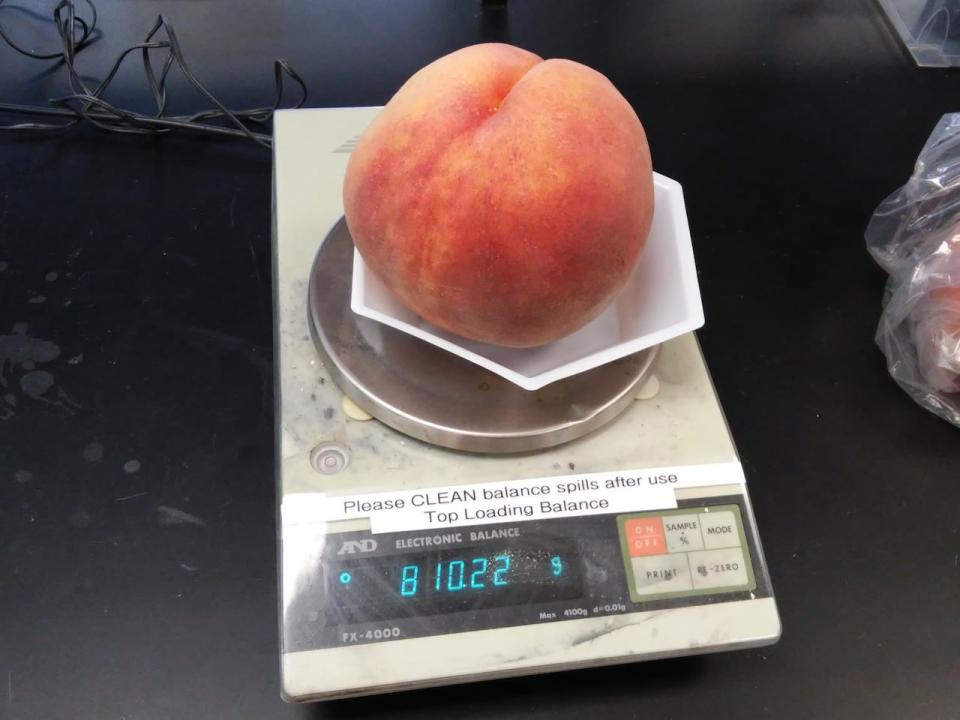 In 2016 a peach grown on what is now Jennifer Deol's Kelowna orchard set a record as the world's largest peach