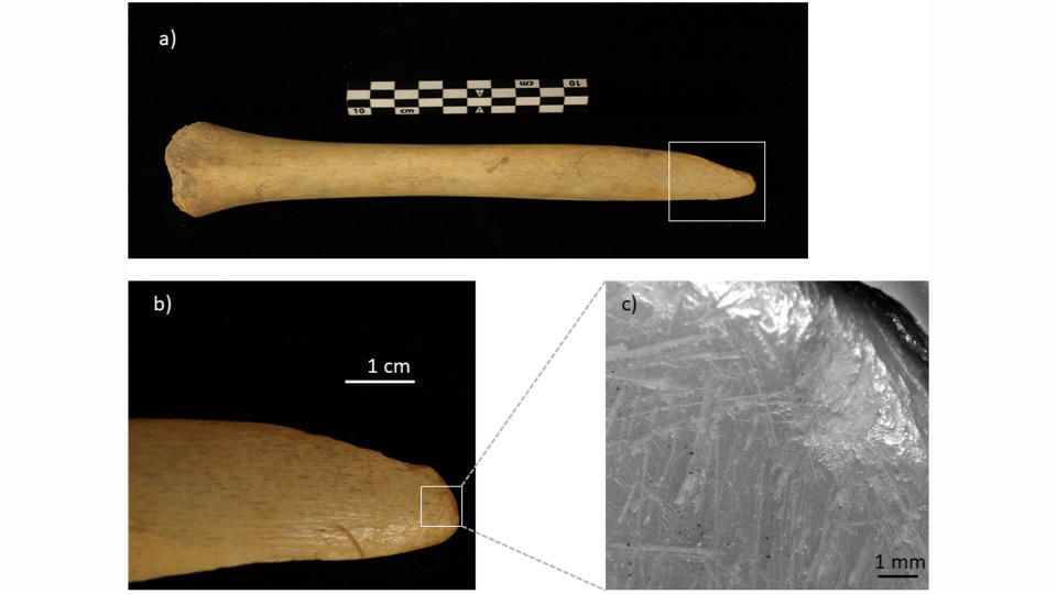 We see a modified human bone against a black background. Then, we see the point of the bone with a microscopic picture of scrapes on its tip.