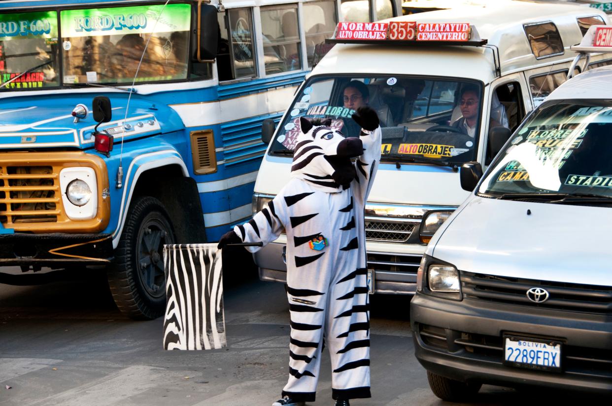 These are no ordinary zebras - This content is subject to copyright.