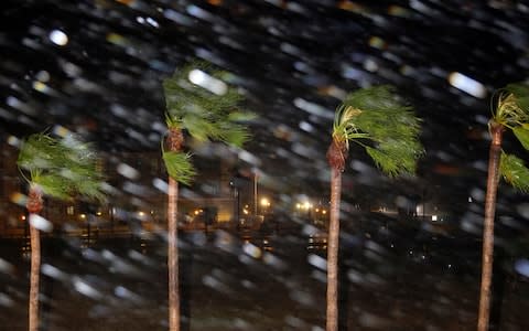 Rain is blown past palm trees as Hurricane Harvey makes landfall,  - Credit: Eric Gay/AP