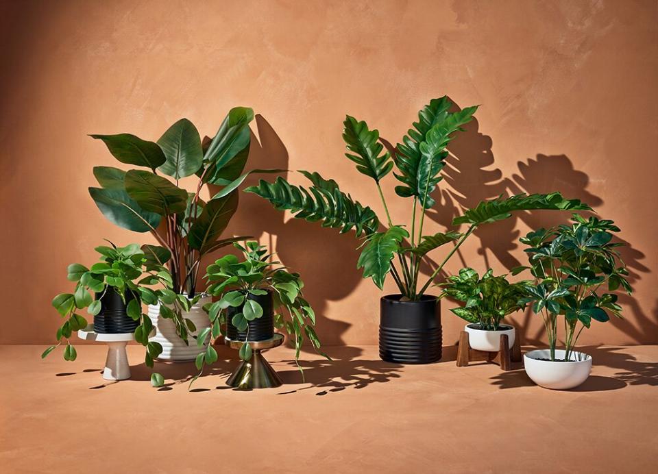 hilton carter x target faux plants