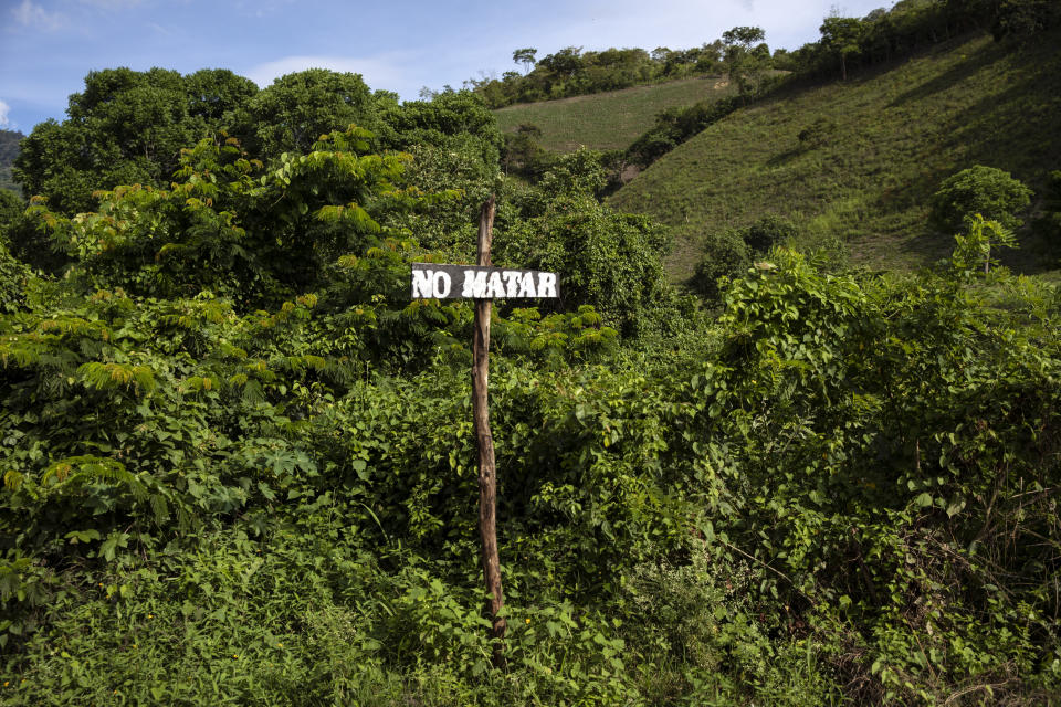 A handmade road sign with a message that reads, in Spanish, "Don't kill" -- a reference to the Sixth Commandment, "Thou shall not kill" -- pokes out from overgrowth on Friday, June 25, 2021, on the outskirts of La Reina, Honduras, a hillside community destroyed by a mudslide triggered by the November 2020 Hurricanes Eta and Iota. Fearful that the disaster would spur emigration to the United States, Friar Leopoldo Serrano has sought to rebuild on land that was in the hands of drug traffickers. (AP Photo/Rodrigo Abd)