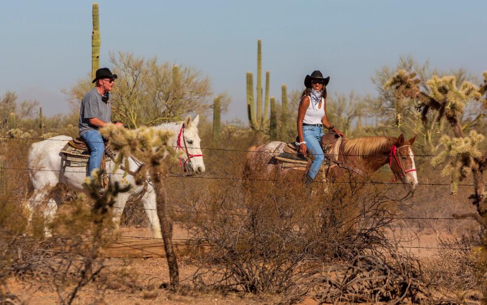 Tucson white stallion ranch