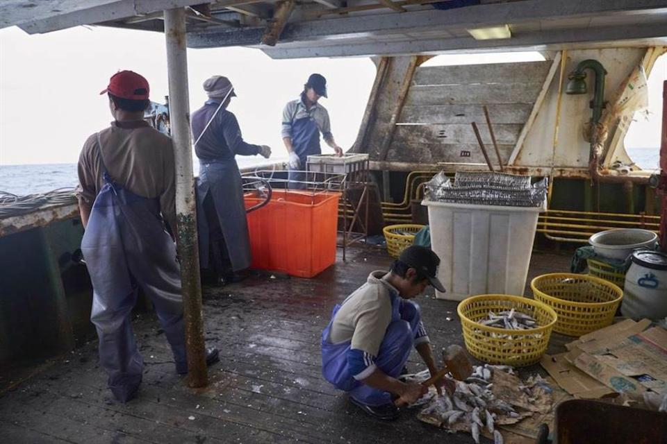 外籍漁工受限法規不能上岸，人權問題引發關注。（示意圖／綠色和平提供）