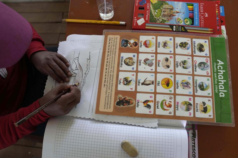 A student colors in a fox during during Quechua Indigenous language class focusing on animal names at a public primary school in Licapa, Peru, Wednesday, Sept. 1, 2021. Five hundred years ago, Quechua was the lingua franca of the Inca Empire, which stretched from what is now southern Colombia to central Chile. (AP Photo/Martin Mejia)