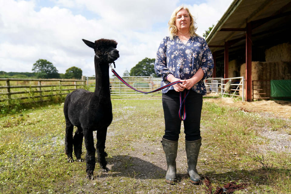 <p>Geronimo the alpaca with owner Helen Macdonald, before he is removed from Shepherds Close Farm in Wooton Under Edge, Gloucestershire, following orders from the Department for the Environment, Food and Rural Affairs (Defra) the he be put down after he tested positive twice for bovine tuberculosis (bTB). Ms Macdonald lost a High Court appeal last month to prevent Geronimo, her stud alpaca, from being killed, allowing the Animal and Plant Health Agency (Apha) to seize Geronimo for destruction. Picture date: Friday August 6, 2021.</p>
