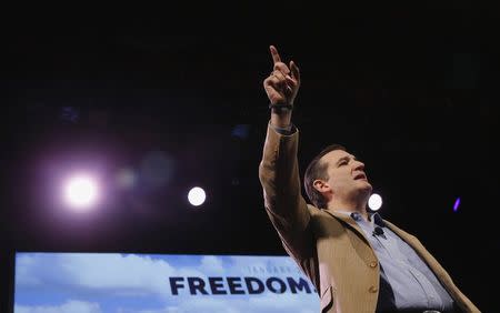 U.S. Senator Ted Cruz (R-TX) speaks at the Freedom Summit in Des Moines, Iowa, January 24, 2015. REUTERS/Jim Young