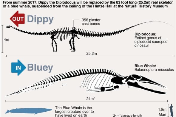 Supporters plead for dinosaur Dippy