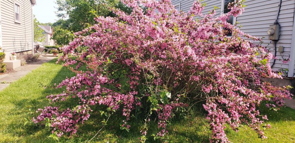 A pretty sight on the Beaver Garden Tour.