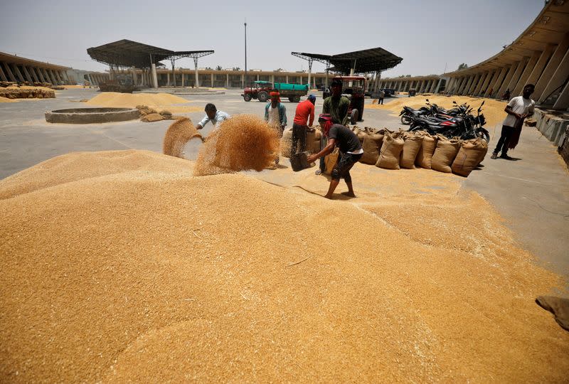 Workers fill sacks with wheat at a market yard on the outskirts of Ahmedabad