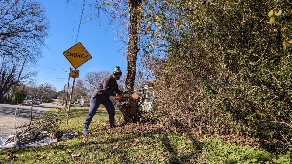 Cutting some 8-inch limbs from a tree using the BLACK + DECKER 40V MAX 12-inch Cordless Chainsaw