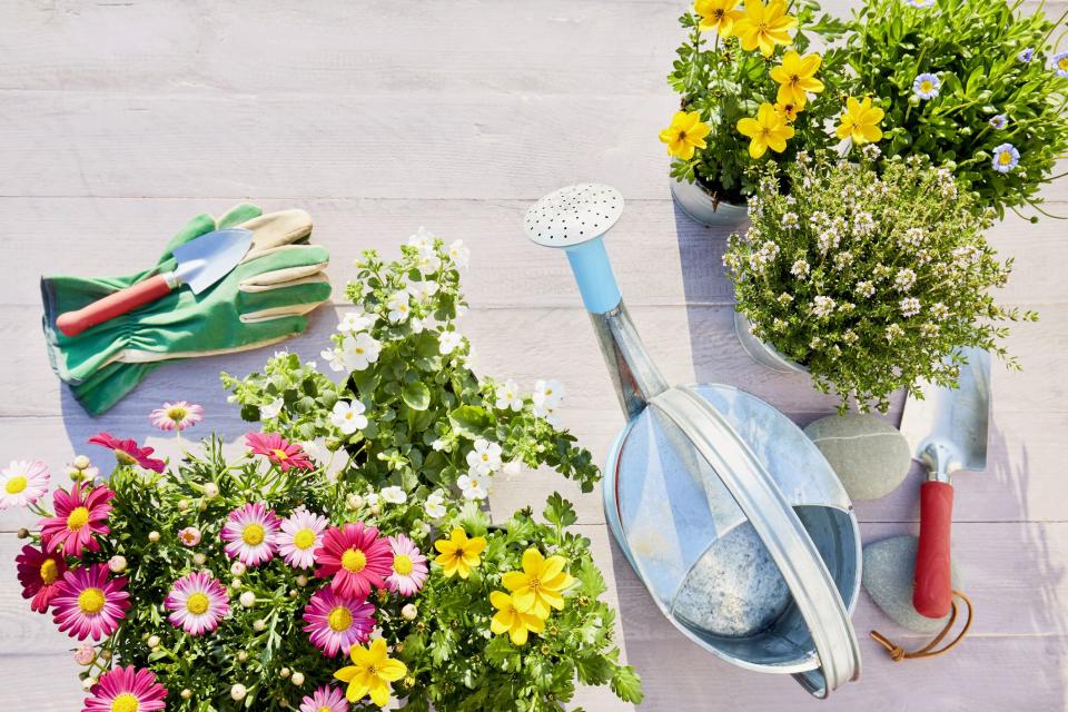 These Essentials From Home Depot Will Help You Grow a Spring Garden