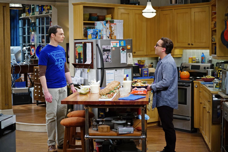 Parsons and Galecki in an episode of the big bang theory