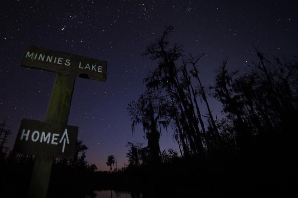 Stephen C. Foster State Park in Fargo, GA offers very little artificial light and a wide open sky, creating a stargazing hot spot.