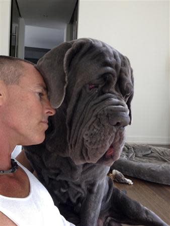 Michael Jarboe and his 2.5 year old Mastiff BamBam are pictured in this undated handout photo.REUTERS/Michael Jarboe/Handout via Reuters