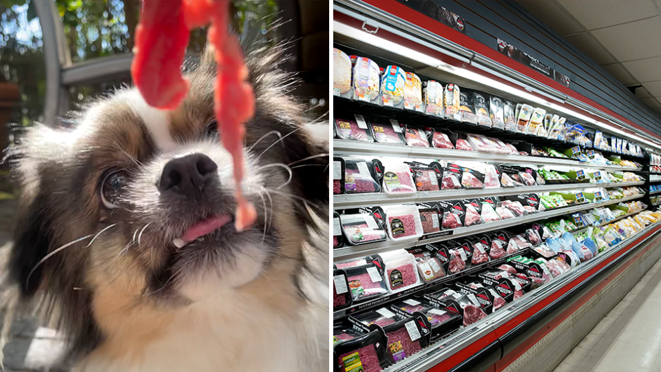 Left - a dog looking at meat. Right - a supermarket isle. 