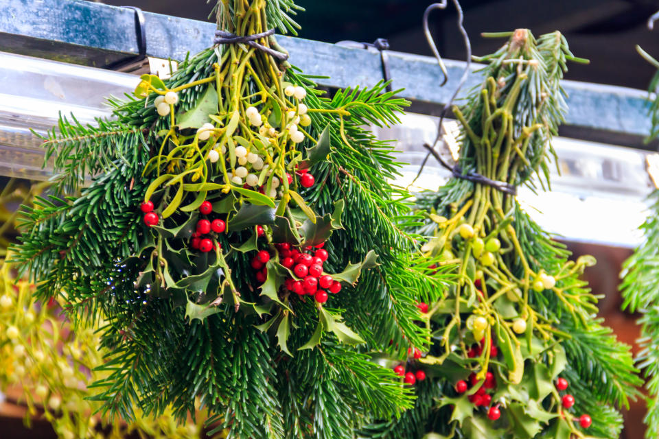 Zu Weihnachten werden Mistelzweige gerne mit Tannen- und Stechpalmenzweigen kombiniert. (Bild: Getty Images)