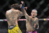 Sean O'Malley hits Marlon Vera during a bantamweight title bout at the UFC 299 mixed martial arts event early Sunday, March 10, 2024, in Miami. O'Malley retained his title. (AP Photo/Wilfredo Lee)