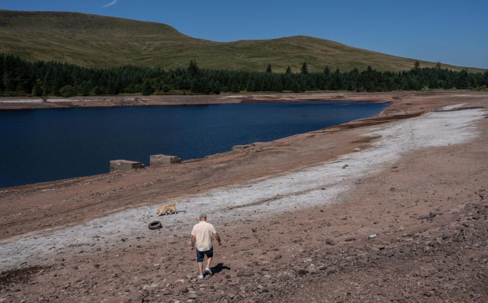 Drought declared in part of Wales after heatwave and low rainfall - Carl Court /Getty Images Europe 