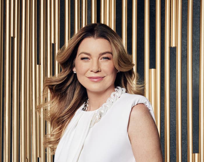 Ellen Pompeo as Meredith Grey