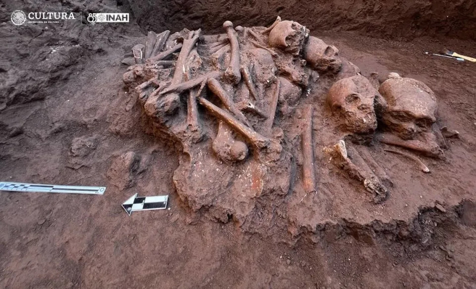 Researchers said they found at least seven complete skulls in the burial.