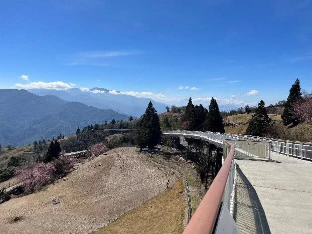 <strong>仁愛鄉的清境高空觀景人行步道友善環境，又將商圈與觀光景點連結成環狀動線。（圖／南投縣政府提供）</strong>