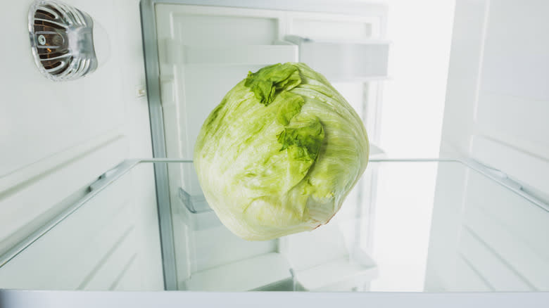 cabbage in fridge
