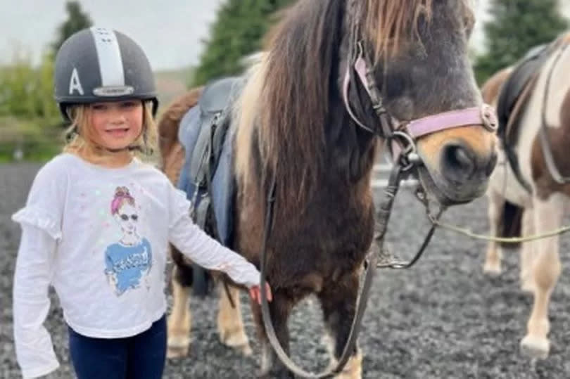 Cantref Adventure Farm