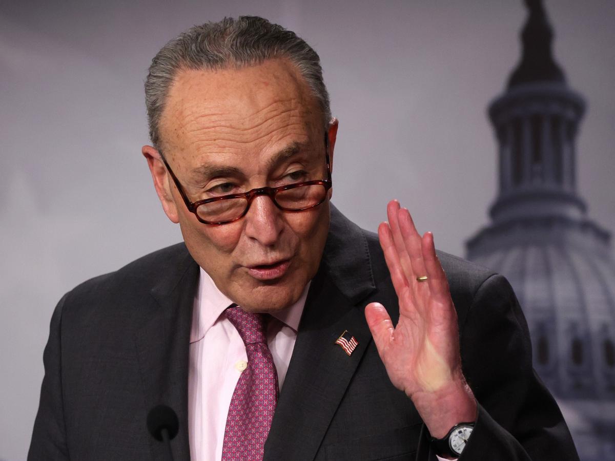 Chuck Schumer rips Tucker Carlson, Fox News, and ‘MAGA Republicans’ for pushing the ‘replacement theory’ in the wake of the Buffalo shooting