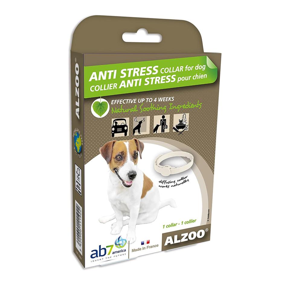 anti-stress dog collar
