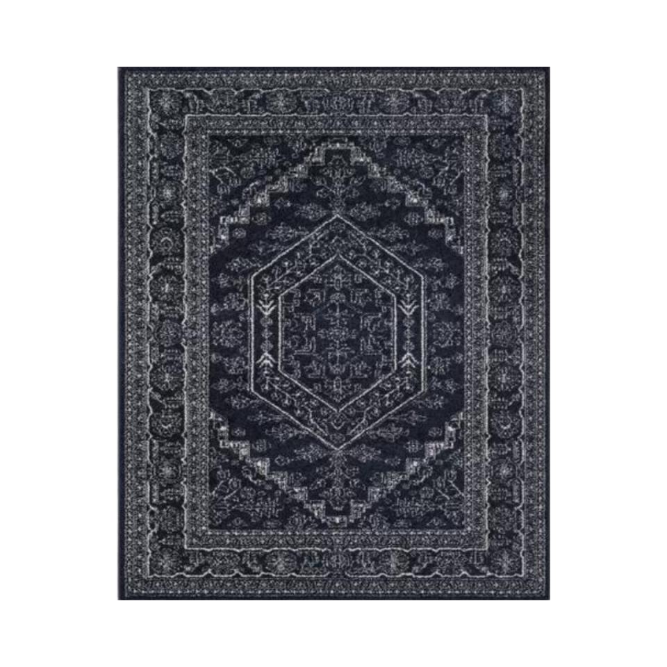 Navy and white Wayfair Olius Rug