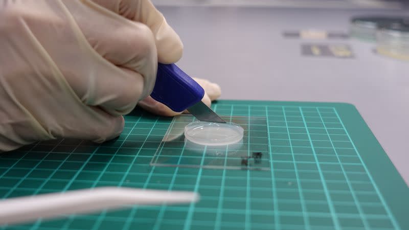 A researcher at NUS demonstrates the self-healing abilities of an artificial, transparent skin by cutting into it with a retractable knife at a lab in Singapore