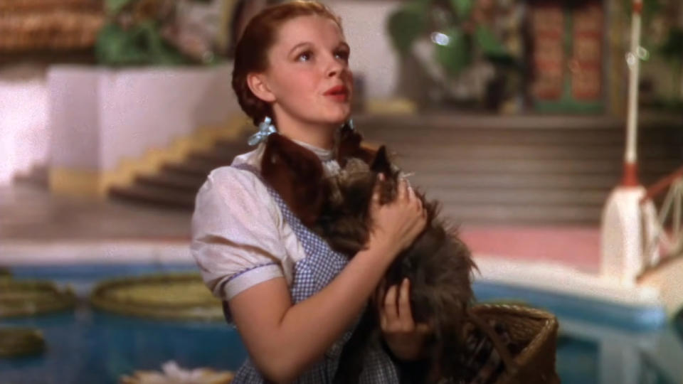 Judy Garland (Frances Ethel Gumm)