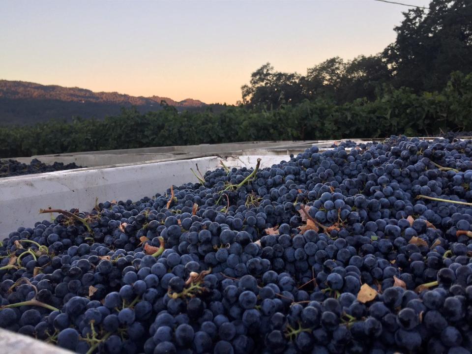 October is National Merlot Month