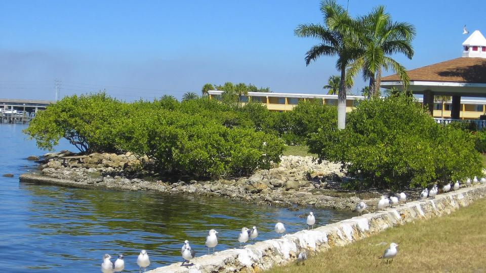 Punta Gorda, Florida - Image.