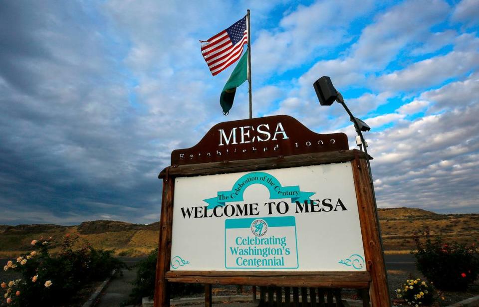 Mesa is a small agriculturally driven community of about 490 people about half an hour north of Pasco in Franklin County. Mesa began as a stop between Eltopia and Palouse Junction in 1883, and was first homesteaded by the Poe family in 1887, two years before Washington became a state.