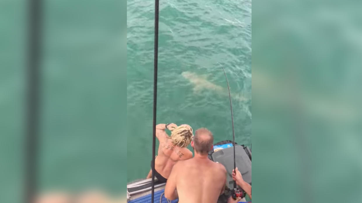 What could possibly go wrong trying to swim with a shark? Video still from YouTube