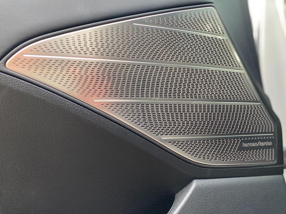 A shiny Harmon Kardon speaker on the door of a Hyundai Palisade SUV.