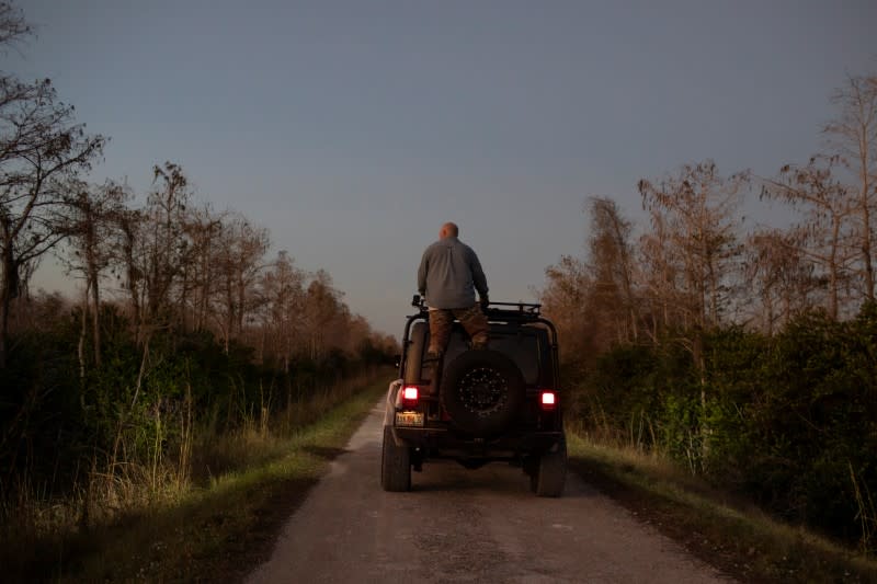 Thomas Aycock rides on top of his SUV as he explores the Everglades' swamps looking for Burmese pythons, near Ochopee