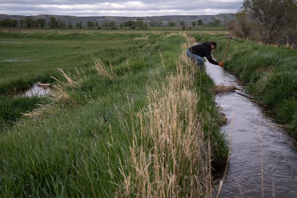Tommy Johnston irrigates a field on June 14, 2022, on his farm south of Pinedale, Wyoming. By clearing weeds and obstructions regularly, he increases his water efficiency.