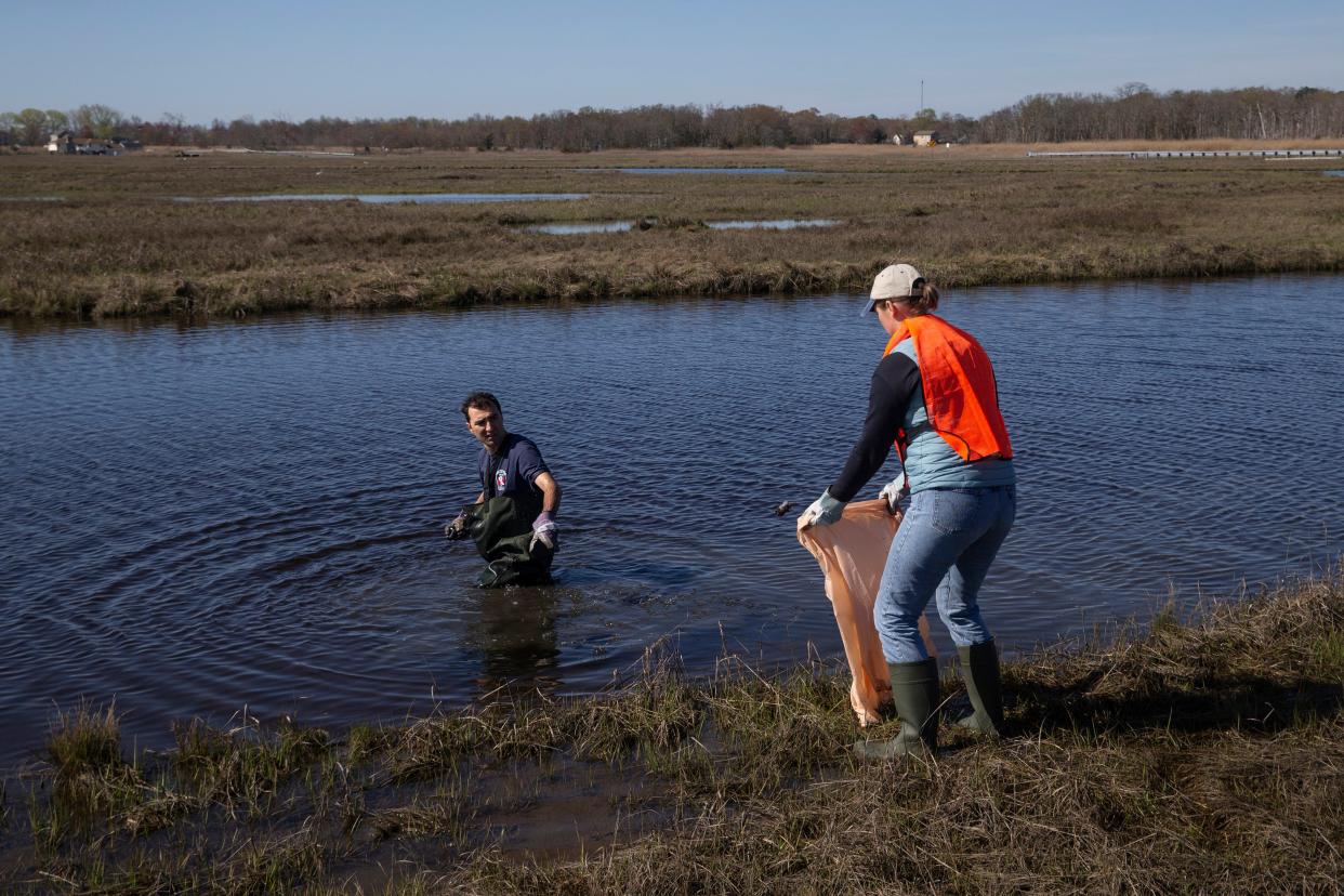 Dogan and Marta Mazur, residents of Poland staying in Toms River, pick up debris found in the water. Berkeley Township workers hand out gear for the cleanup. Environmental Protection Commissioner Shawn M. LaTourette will join Berkeley Mayor John A. Bacchione and volunteers at the annual Barnegat Bay Blitz watershed-wide cleanup. 
Bayville, NJ
Tuesday, April 23, 2024