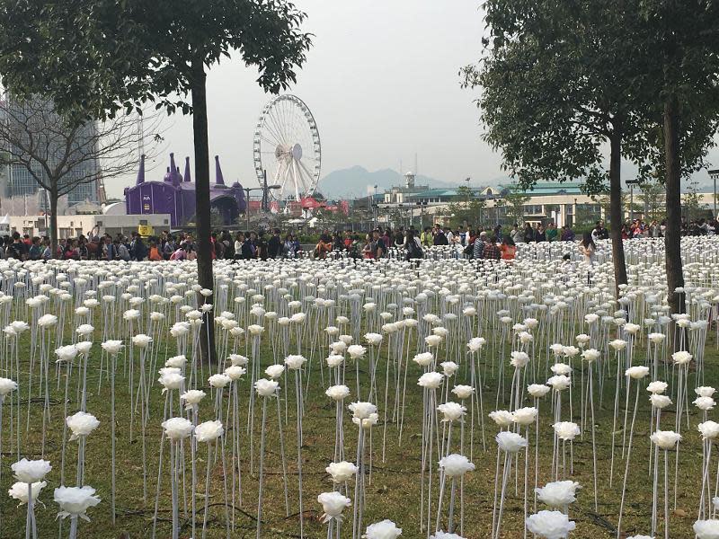 中環玫瑰花燈海園吸引大批市民觀賞