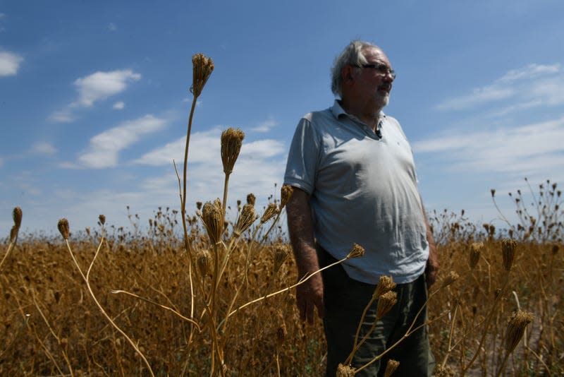 A farmer stands in a field overgrown with weeds in Santa Fe Province, Argentina on January 18, 2023.